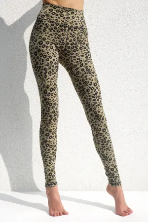 Jaguar Leggings- Cream Olive Black
