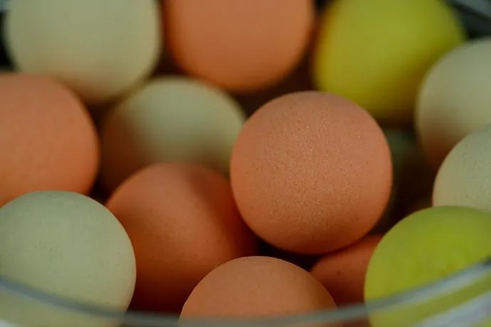 Sticky Baits Mulbz Pastel Pop-Ups
